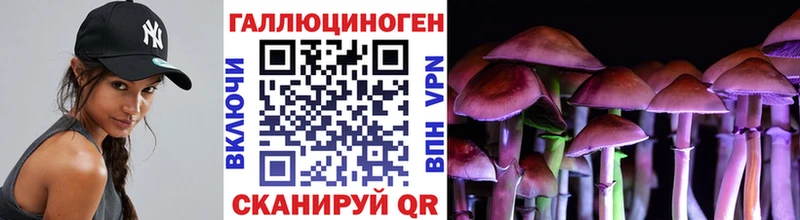 Псилоцибиновые грибы GOLDEN TEACHER  Новомичуринск 